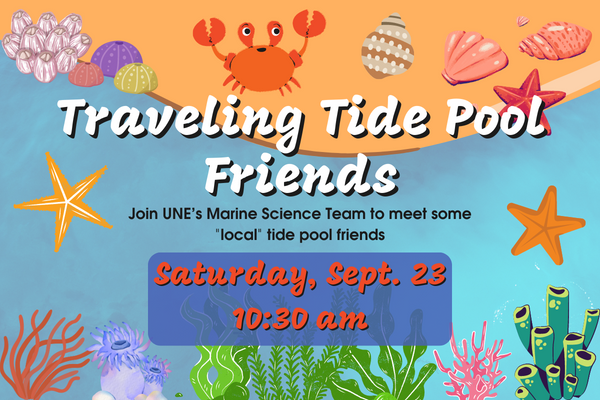 Traveling Tide Pool Friends